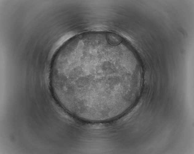 X0000114421410200911061613