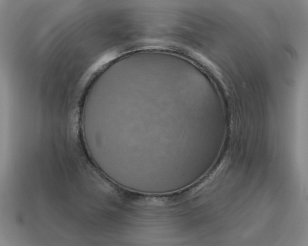 X0000114421411200911061613