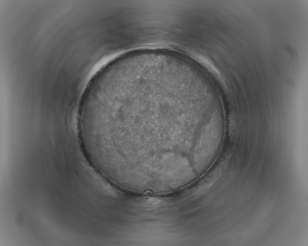 X0000114421412200911061613
