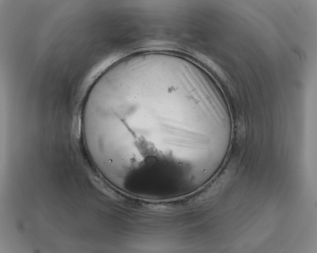 X0000114421413200911061613