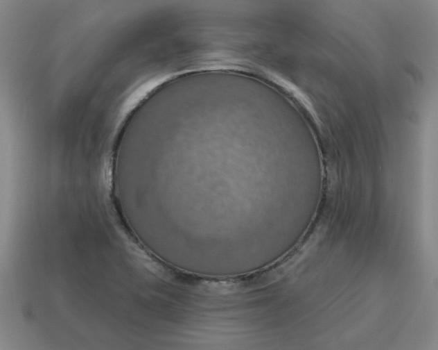 X0000114421415200911061613