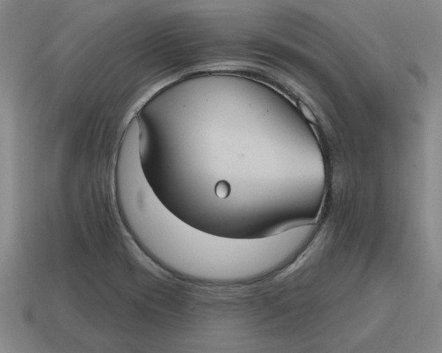 X0000114421417200911061613