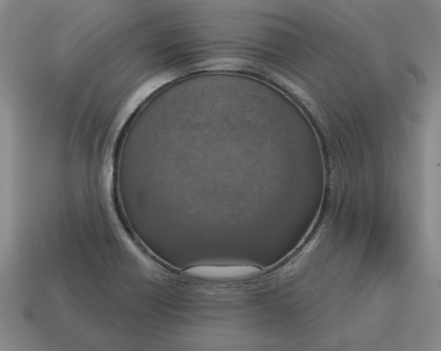 X0000114421418200911061613