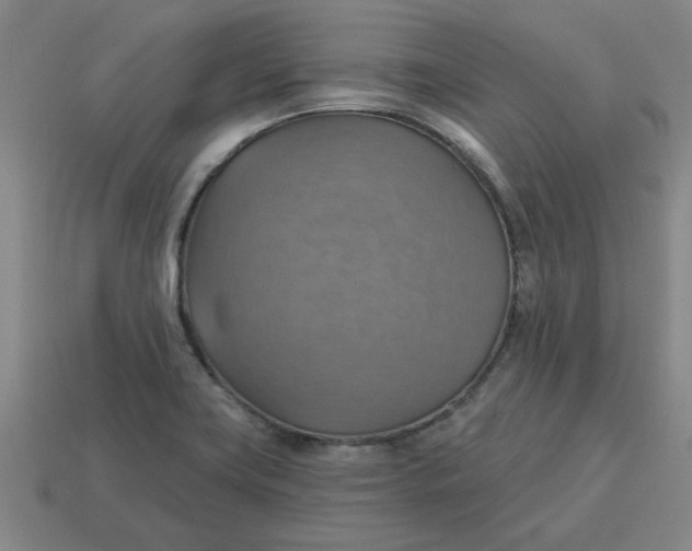 X0000114421419200911061613