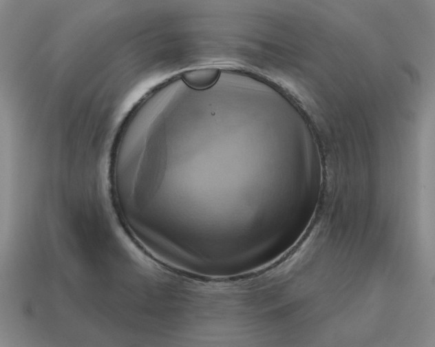 X0000114421422200911061613
