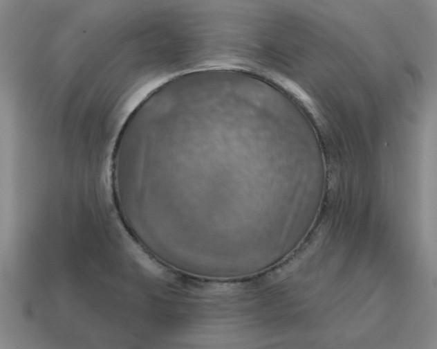 X0000114421423200911061613