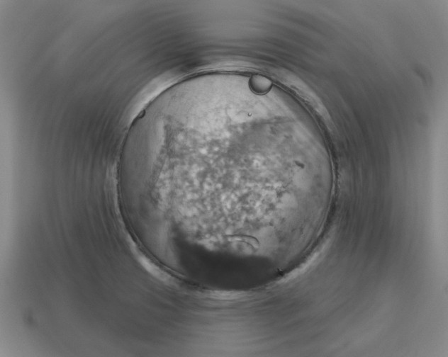 X0000114421425200911061613