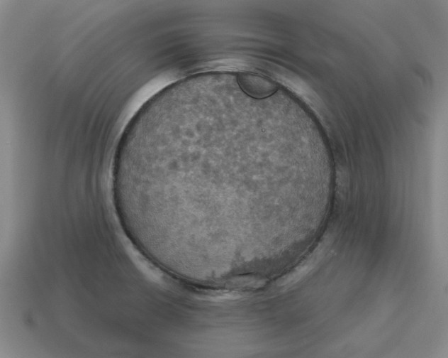X0000114421426200911061613