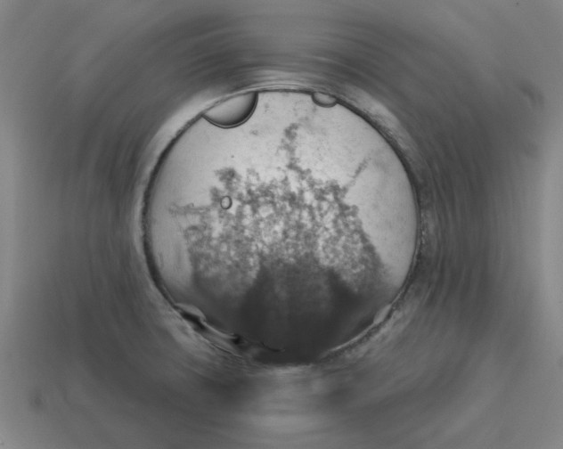 X0000114421427200911061613