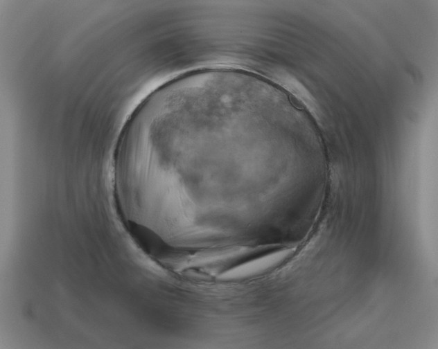 X0000114421428200911061613