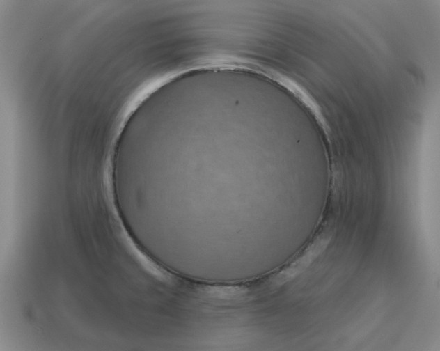 X0000114421429200911061613