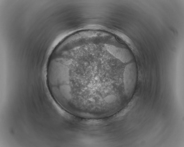 X0000114421430200911061613
