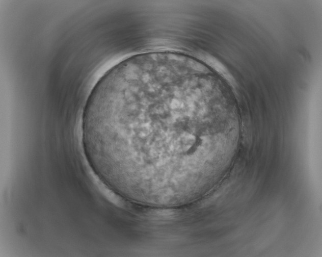 X0000114421431200911061613