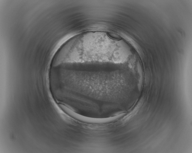 X0000114421434200911061613