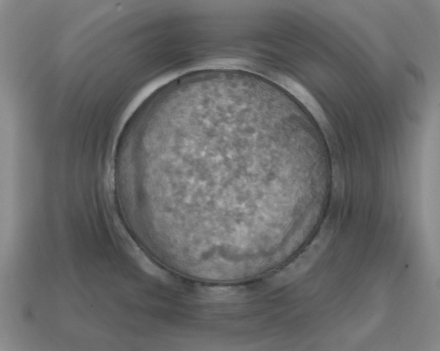 X0000114421436200911061613