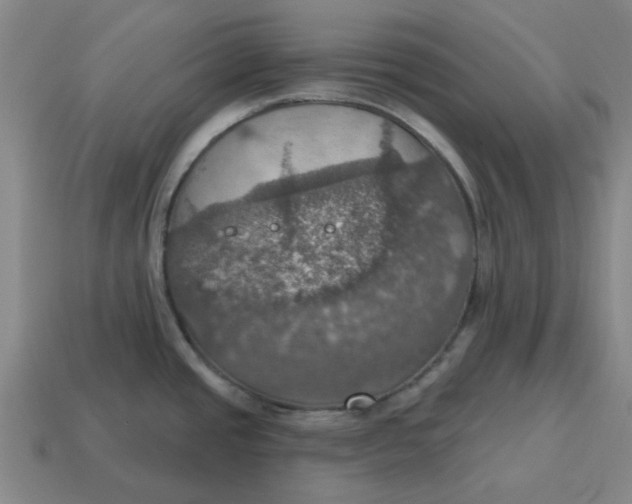 X0000114421437200911061613
