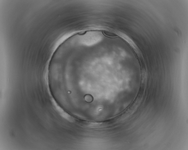 X0000114421439200911061613
