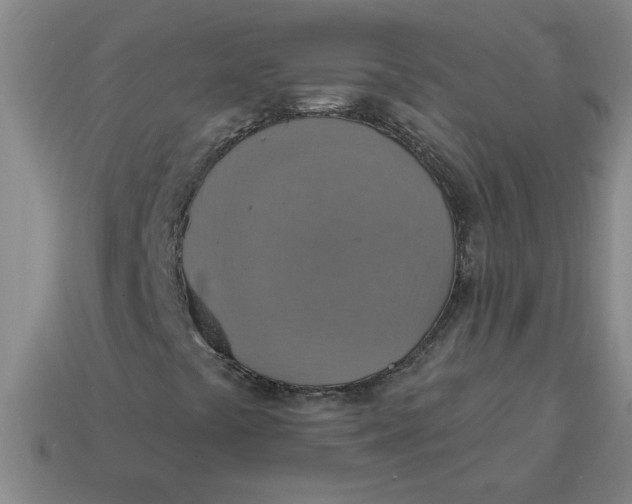 X0000114421441200911061613