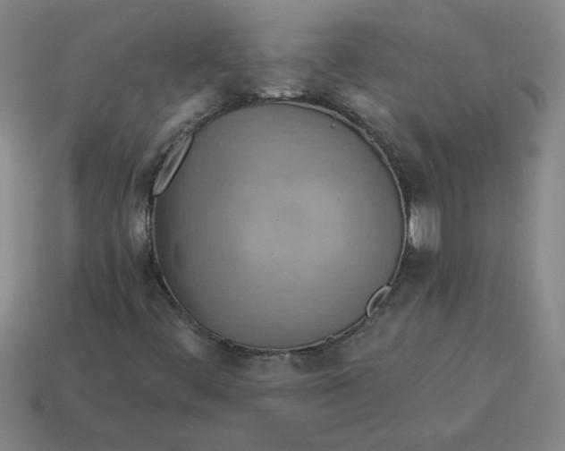 X0000114421444200911061613