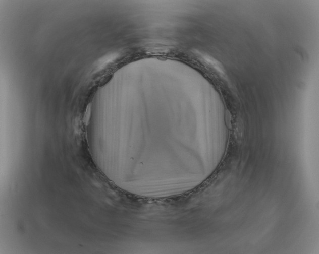 X0000114421445200911061613