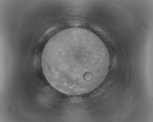 X0000114421446200911061613