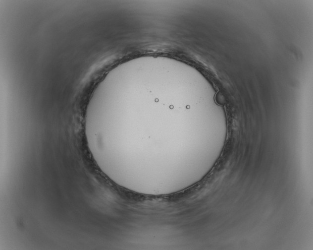 X0000114421447200911061613