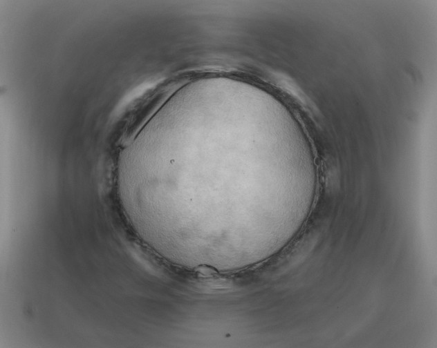 X0000114421448200911061613