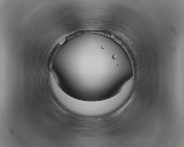 X0000114421449200911061613