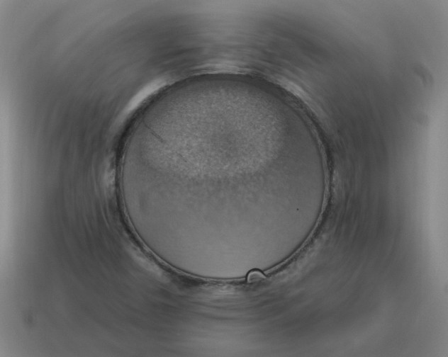 X0000114421450200911061613