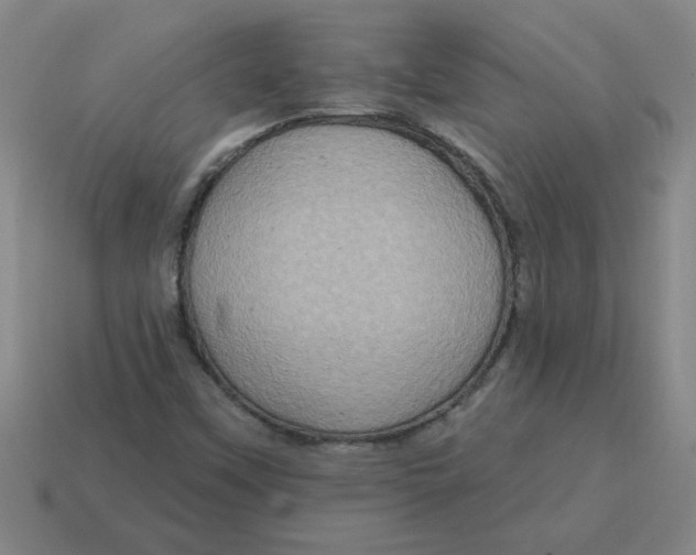 X0000114421451200911061613