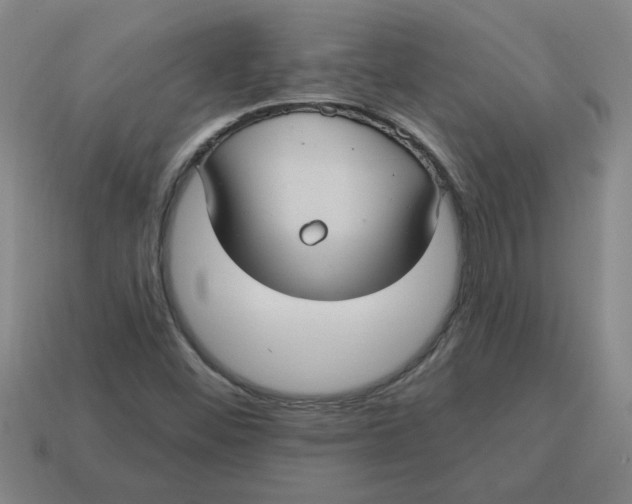 X0000114421452200911061613