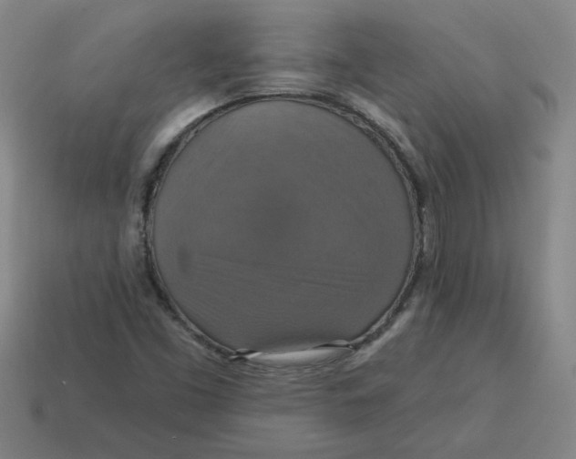 X0000114421453200911061613