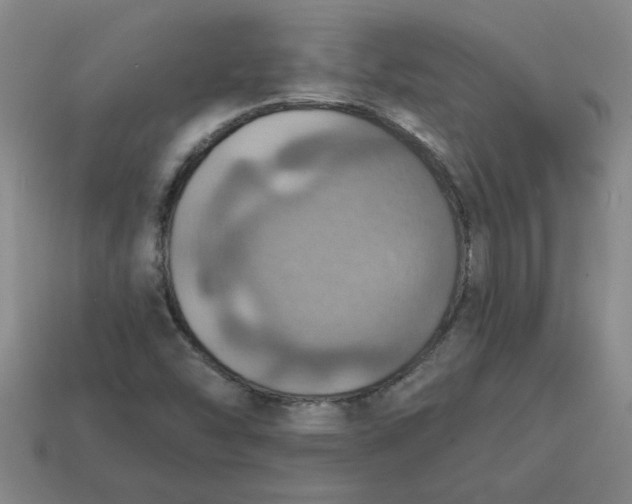 X0000114421454200911061613