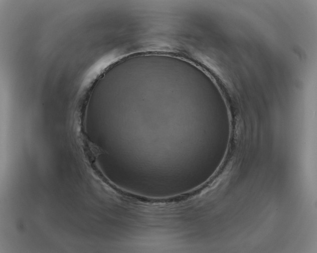 X0000114421455200911061613