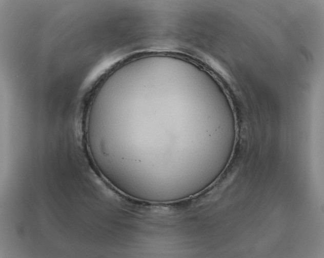 X0000114421456200911061613