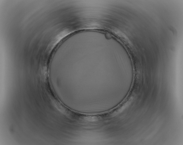 X0000114421457200911061612
