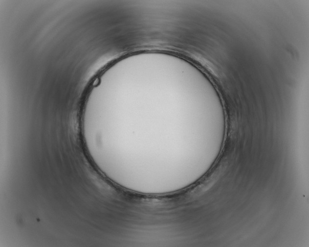 X0000114421458200911061612