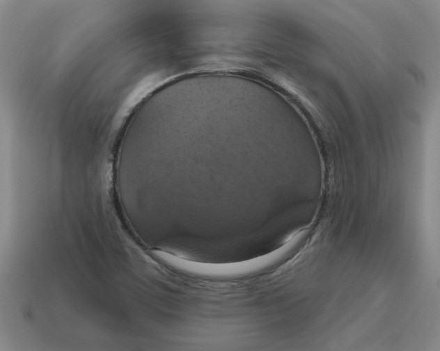X0000114421459200911061612