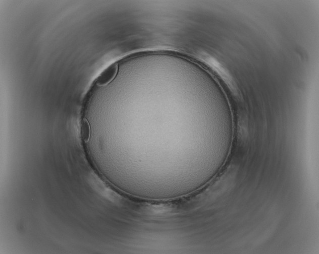 X0000114421460200911061612