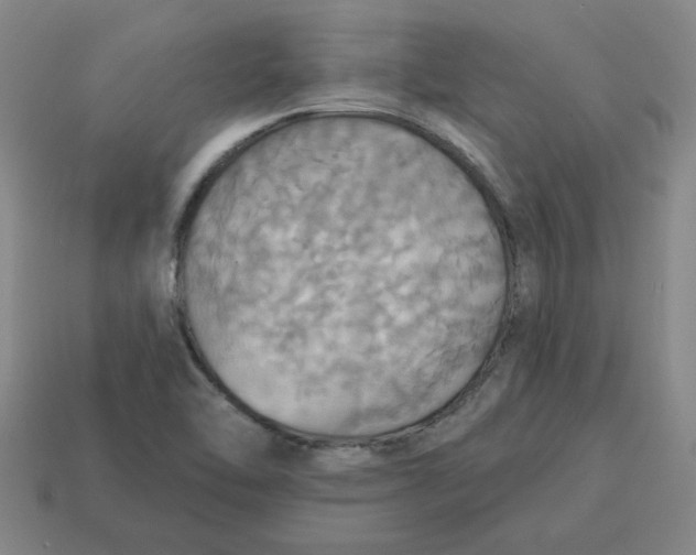 X0000114421462200911061612