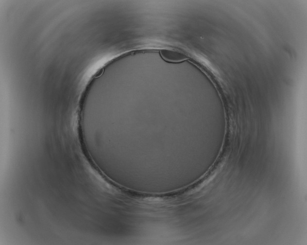 X0000114421463200911061612
