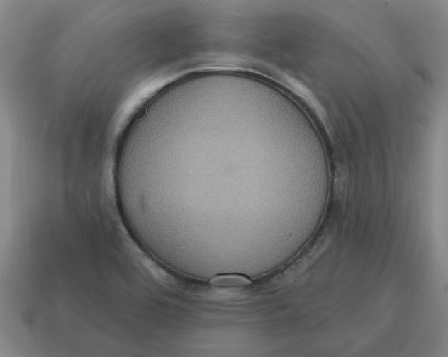 X0000114421464200911061612