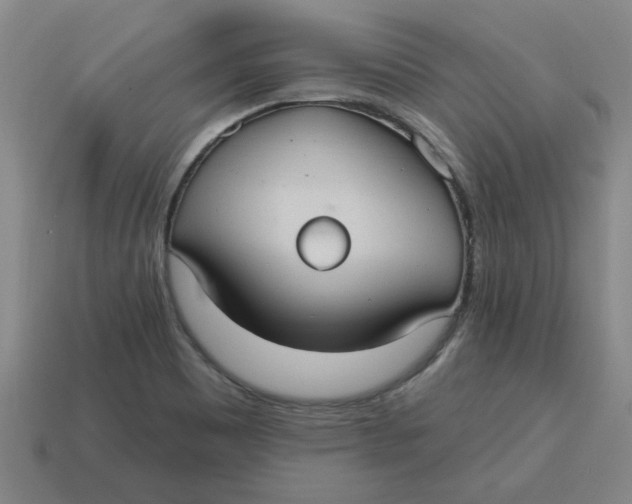 X0000114421465200911061612