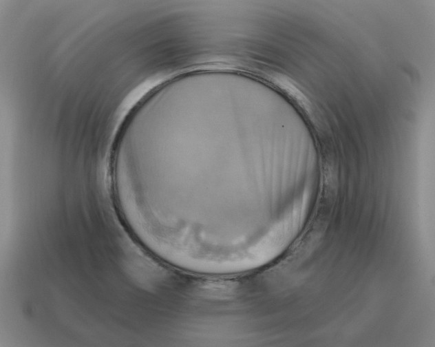 X0000114421466200911061612
