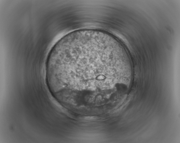 X0000114421467200911061612