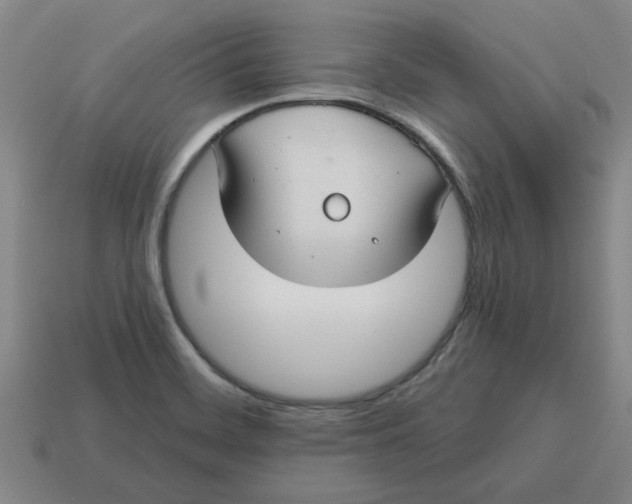 X0000114421468200911061612