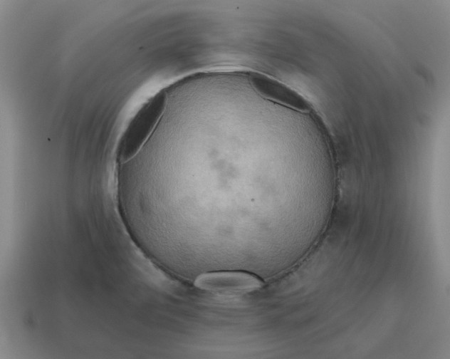 X0000114421472200911061612