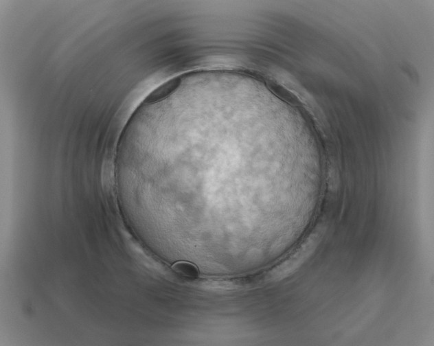 X0000114421473200911061612