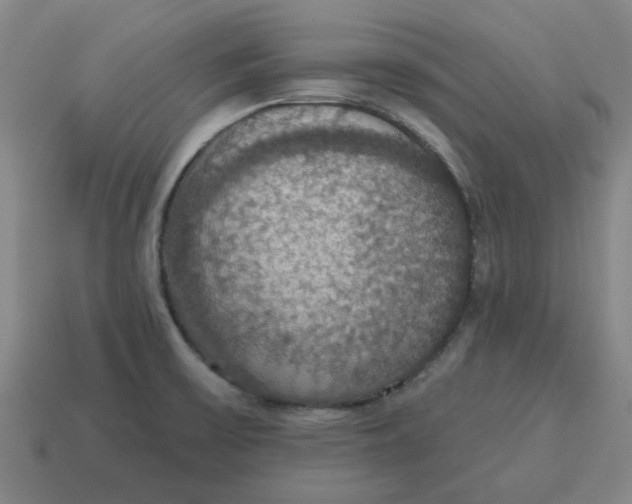 X0000114421475200911061612