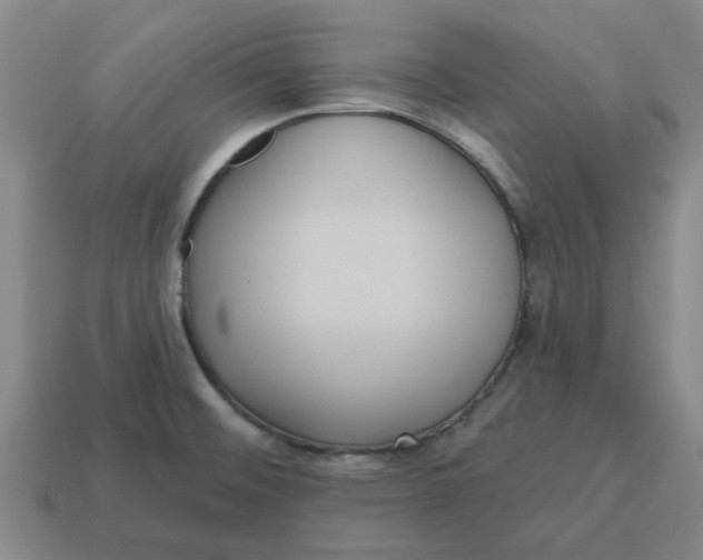 X0000114421476200911061612
